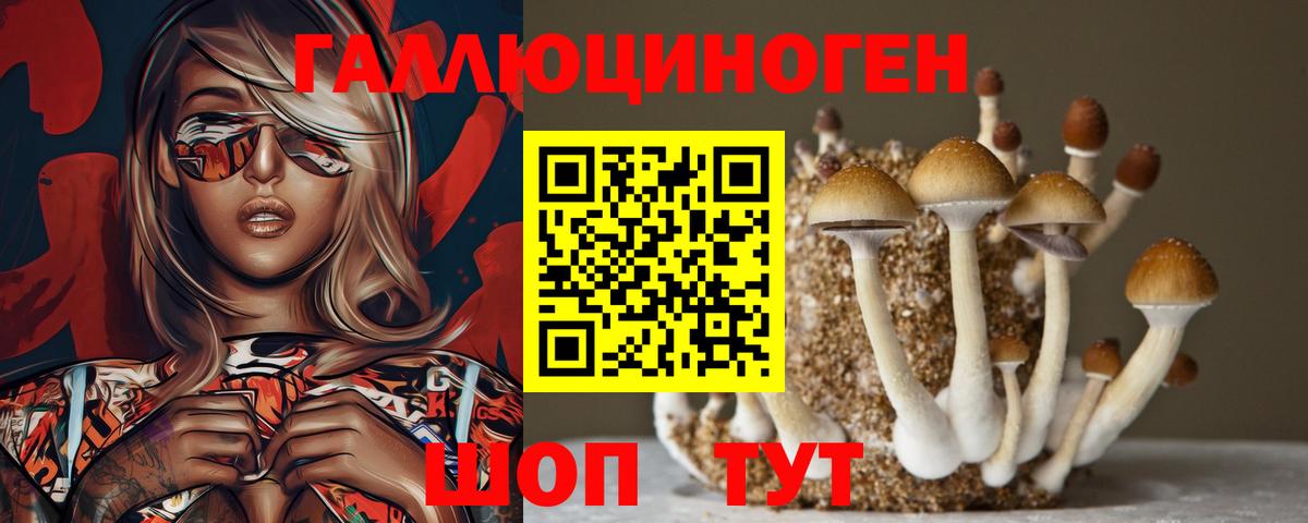 Псилоцибиновые грибы мицелий  Вход с VPN  Волжск 