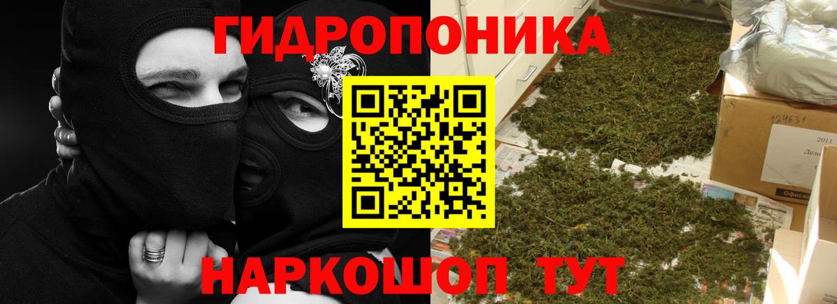Каннабис семена  Канабис индика  Конопля LSD WEED  Волжск  Вход с VPN 